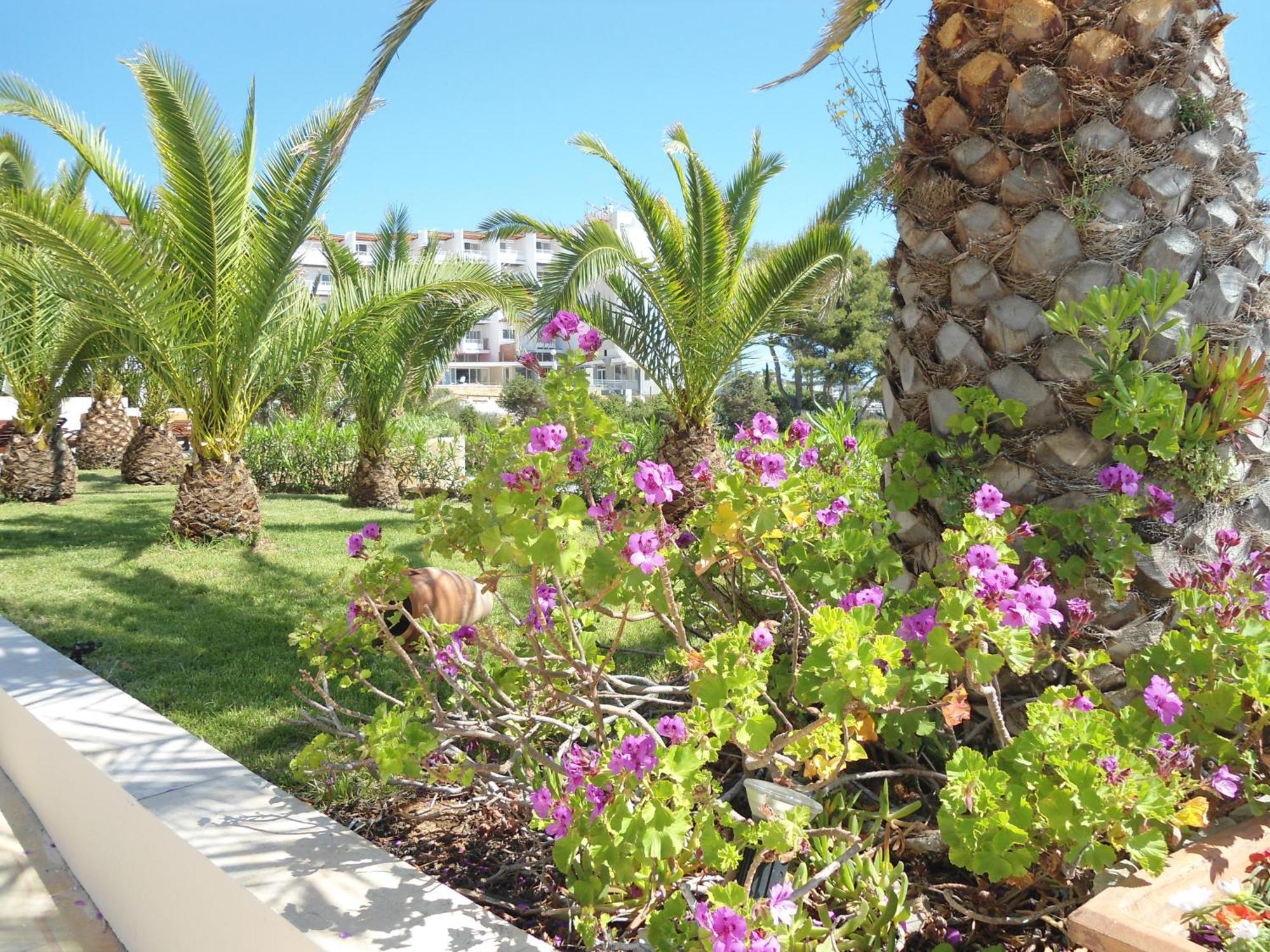 Grand Hotel Palladium Santa Eulalia Del Rio Exterior foto